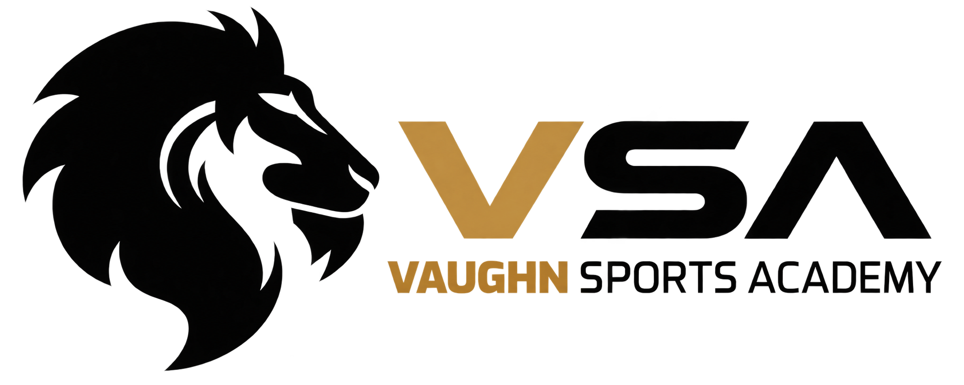 Vaughn Sports Academy